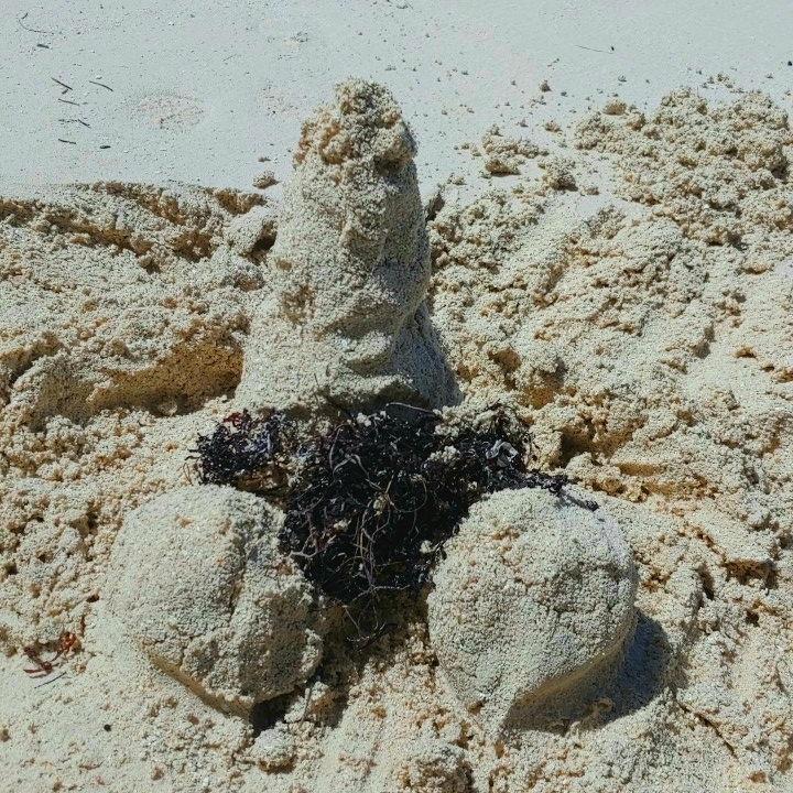 sand castle Great Bird Island