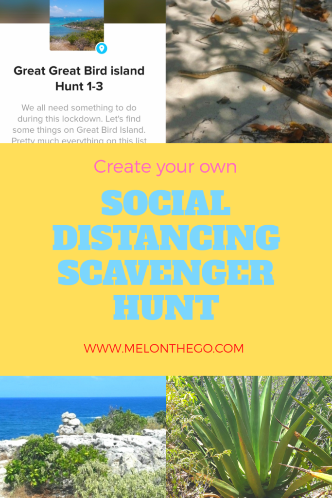 Pin Socially distant scavenger hunt