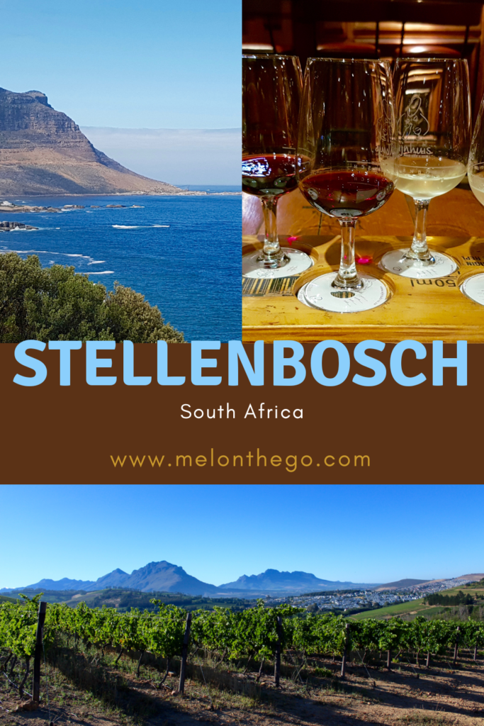 One night in Stellenbosch pin