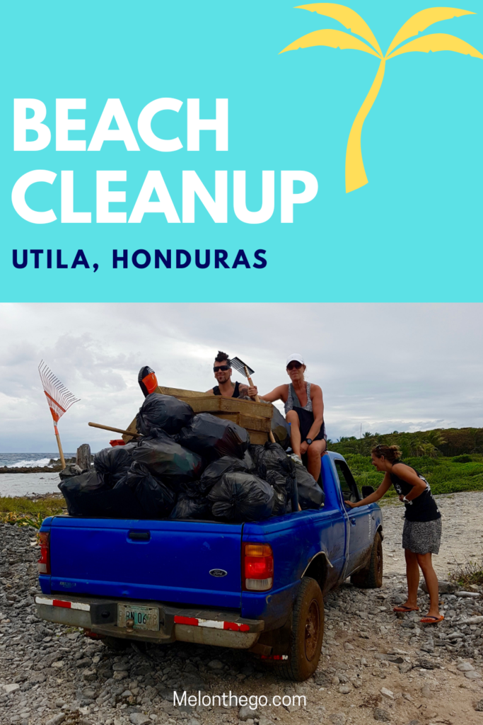 Beach cleanup pin