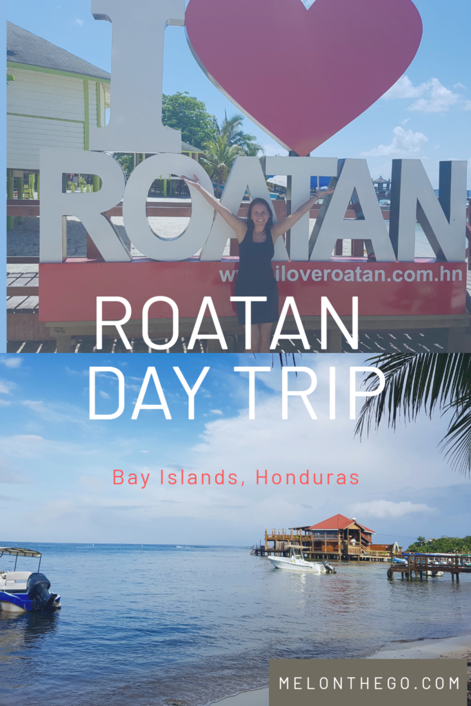 Roatan day trip pin