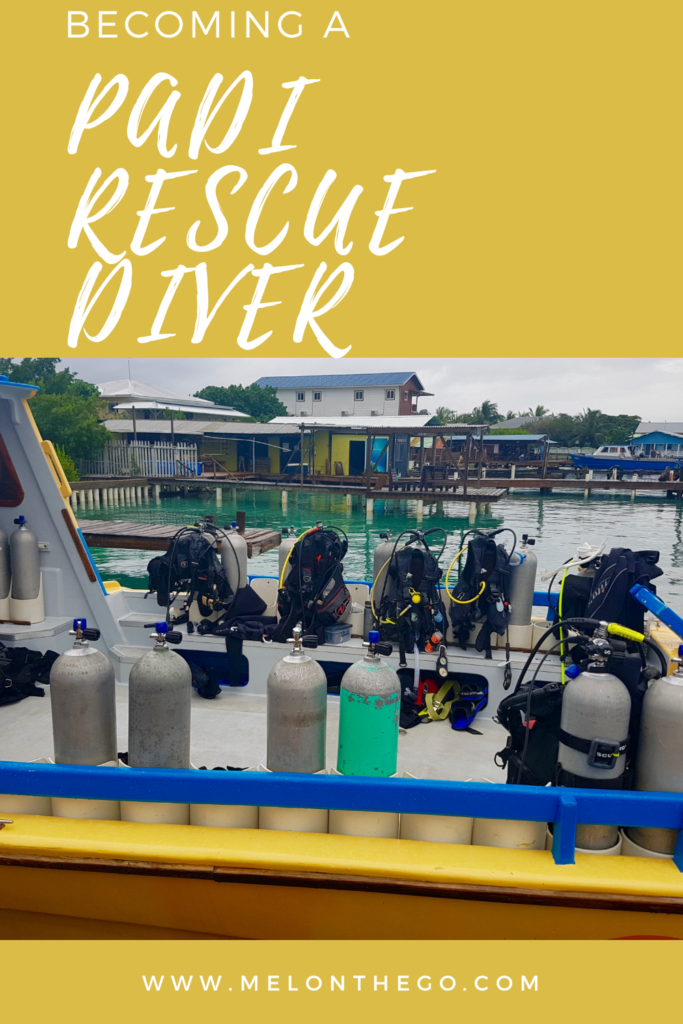 Rescue diver pin