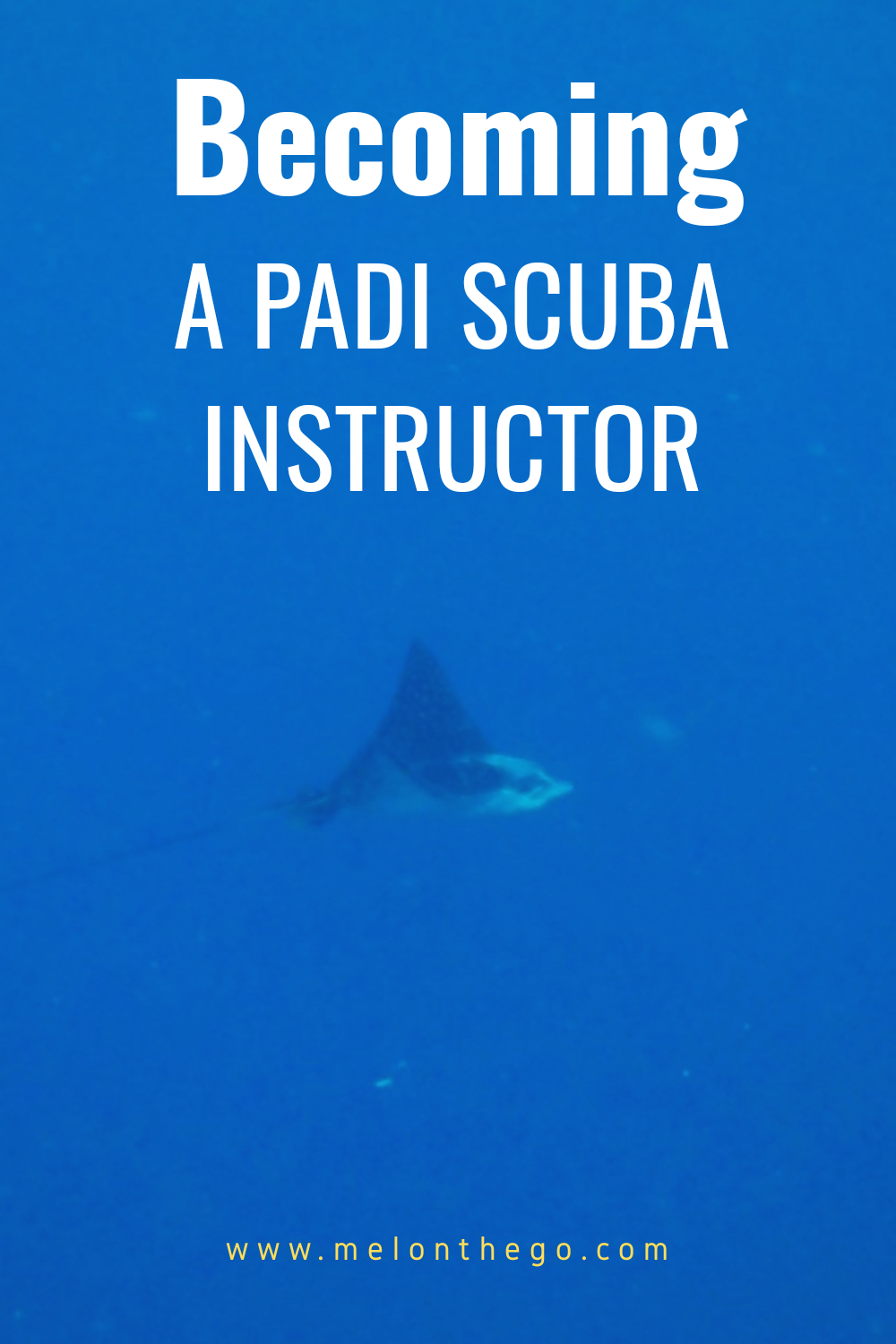 Pin Becoming a PADI Instructor