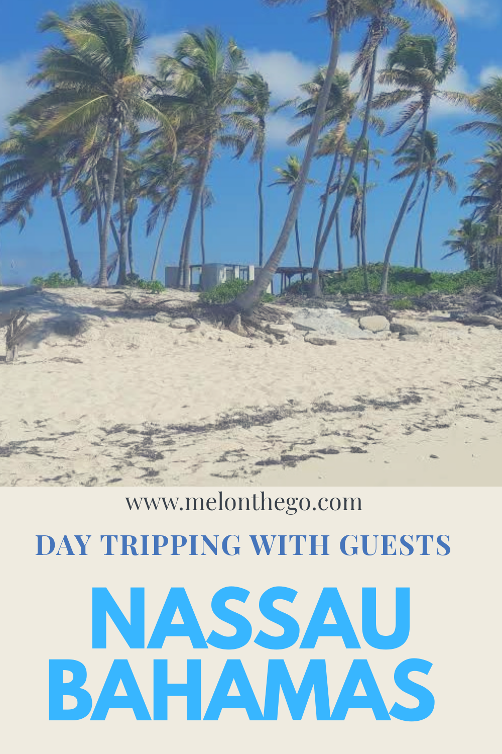 Pin Nassau Day Tripping