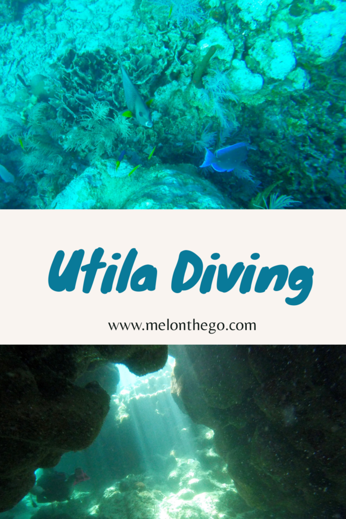 Utila Diving pin