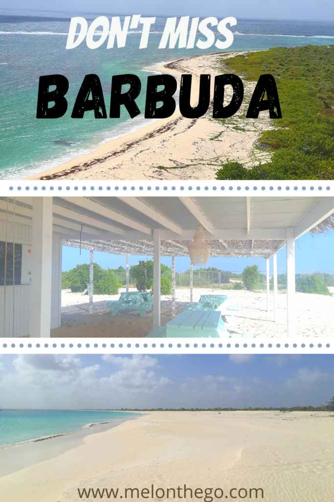 Barbuda Pin