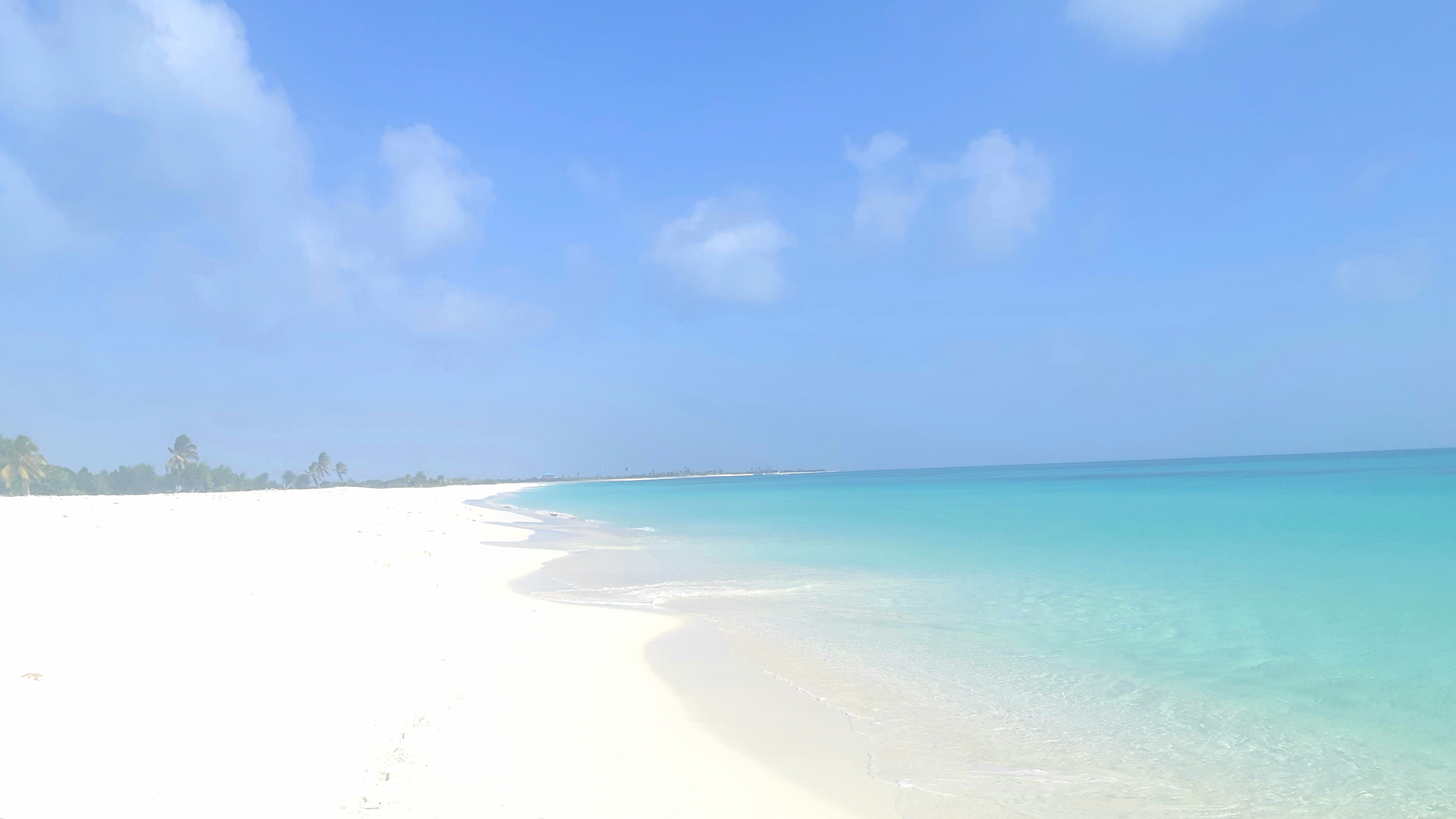 You Do Not Want To Miss Barbuda