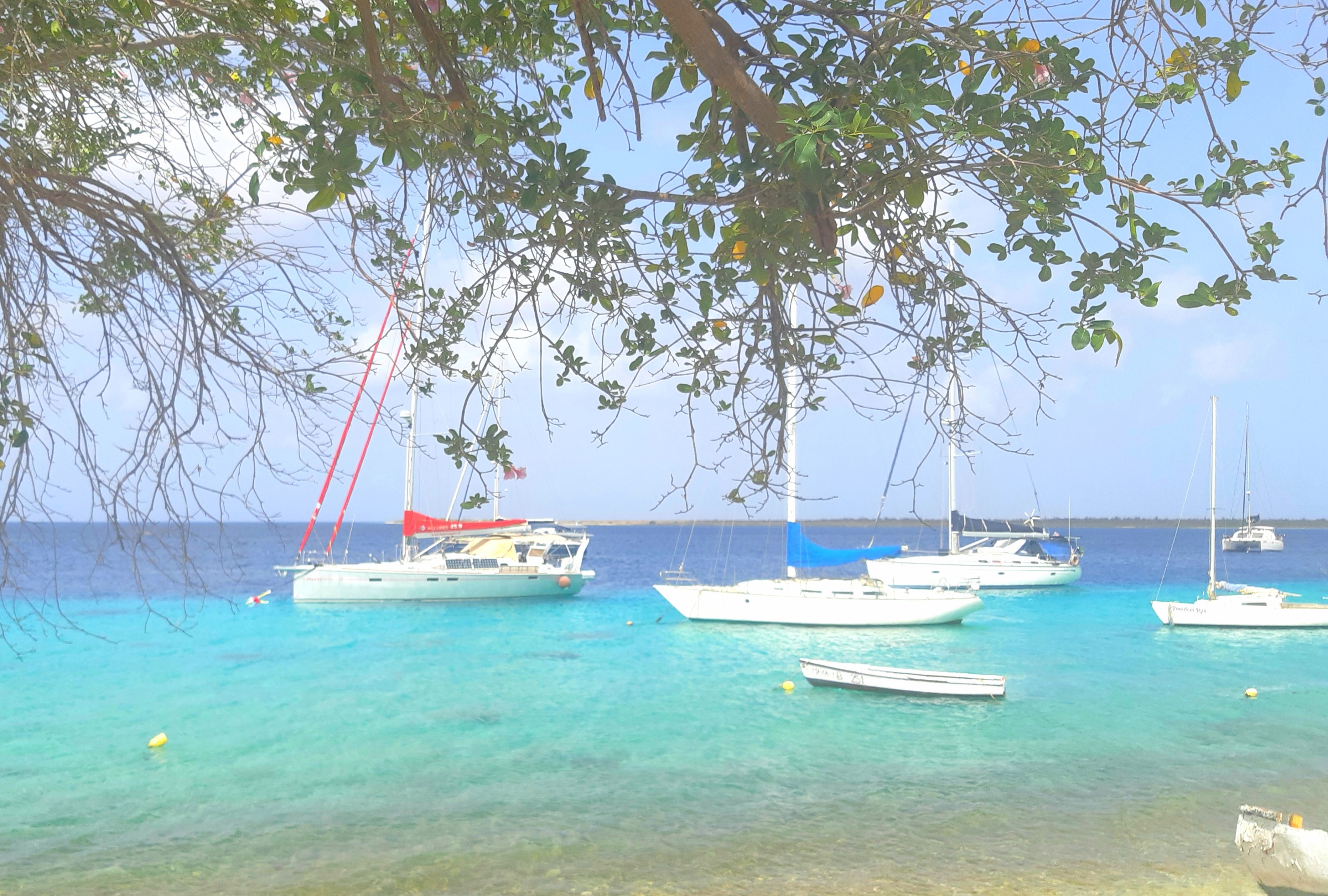 Boats in Bonaire Caribbean Destination