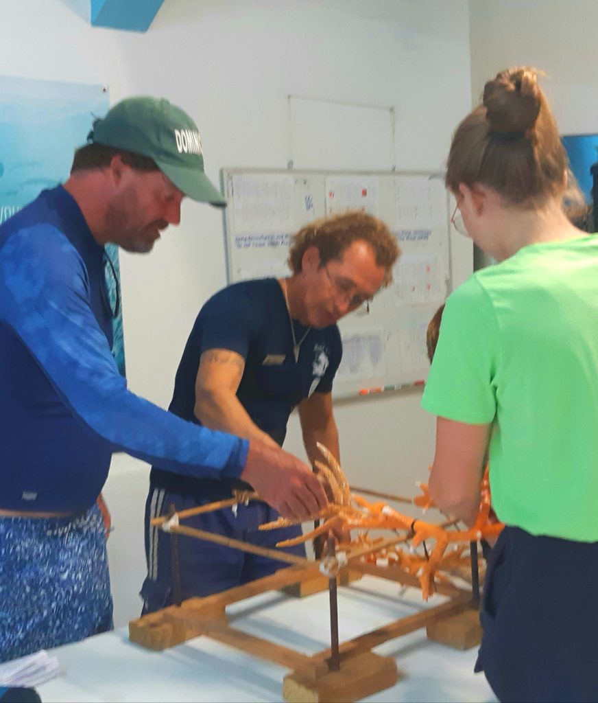 Reef Restoration in Bonaire