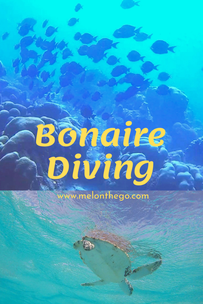 Pin Scuba Why Bonaire is a Diver's Paradise