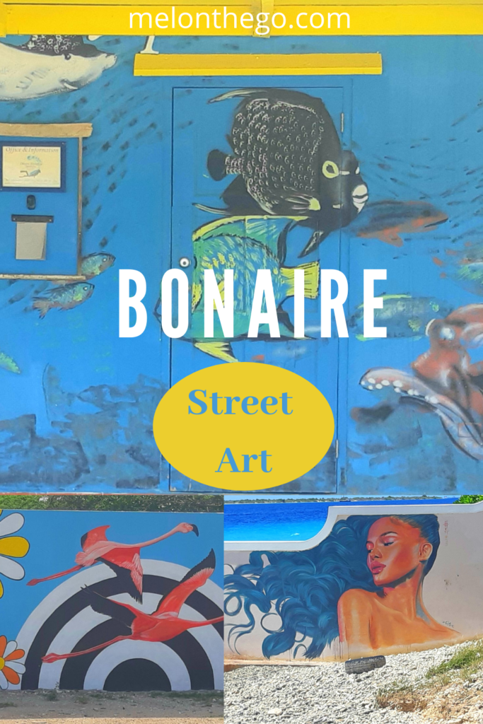 Street Art in Bonaire Pin