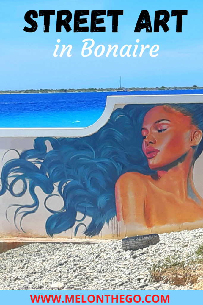 pin Street Art in Bonaire