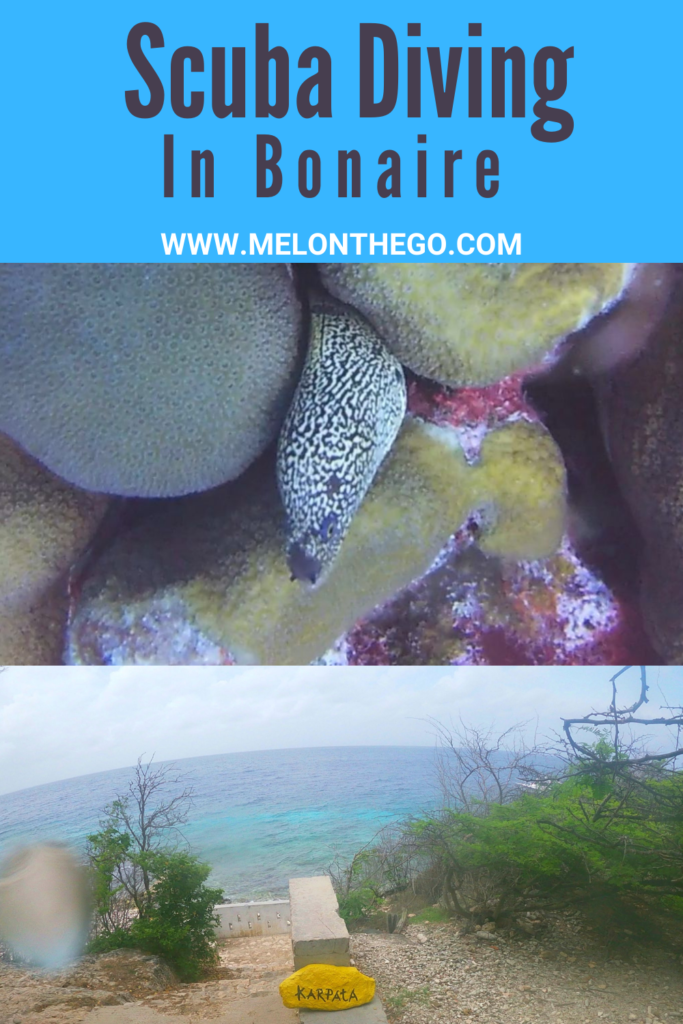 Scuba Diving in Bonaire pin