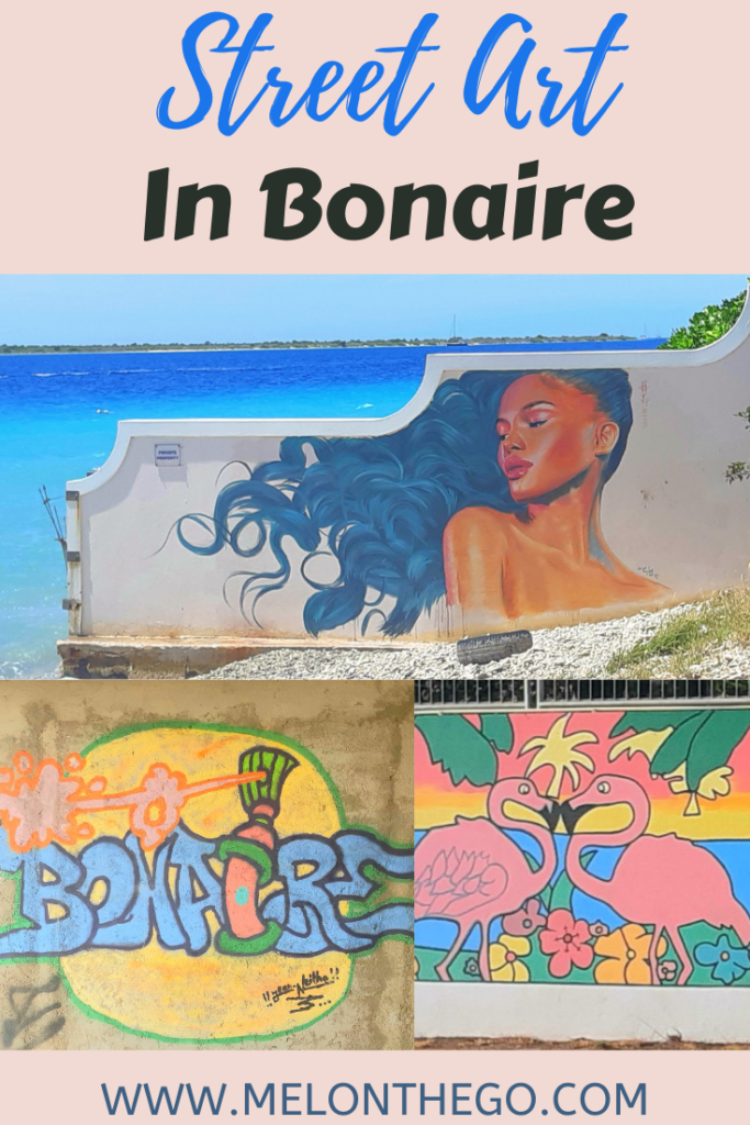 Street art in Bonaire pin