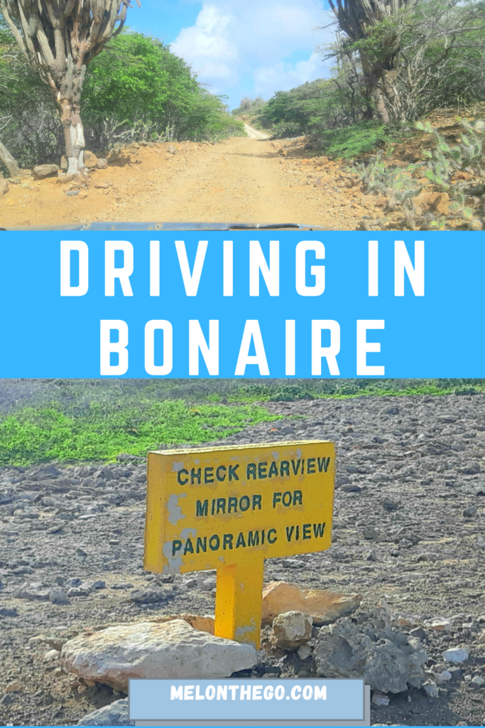 Pin Driving in Bonaire