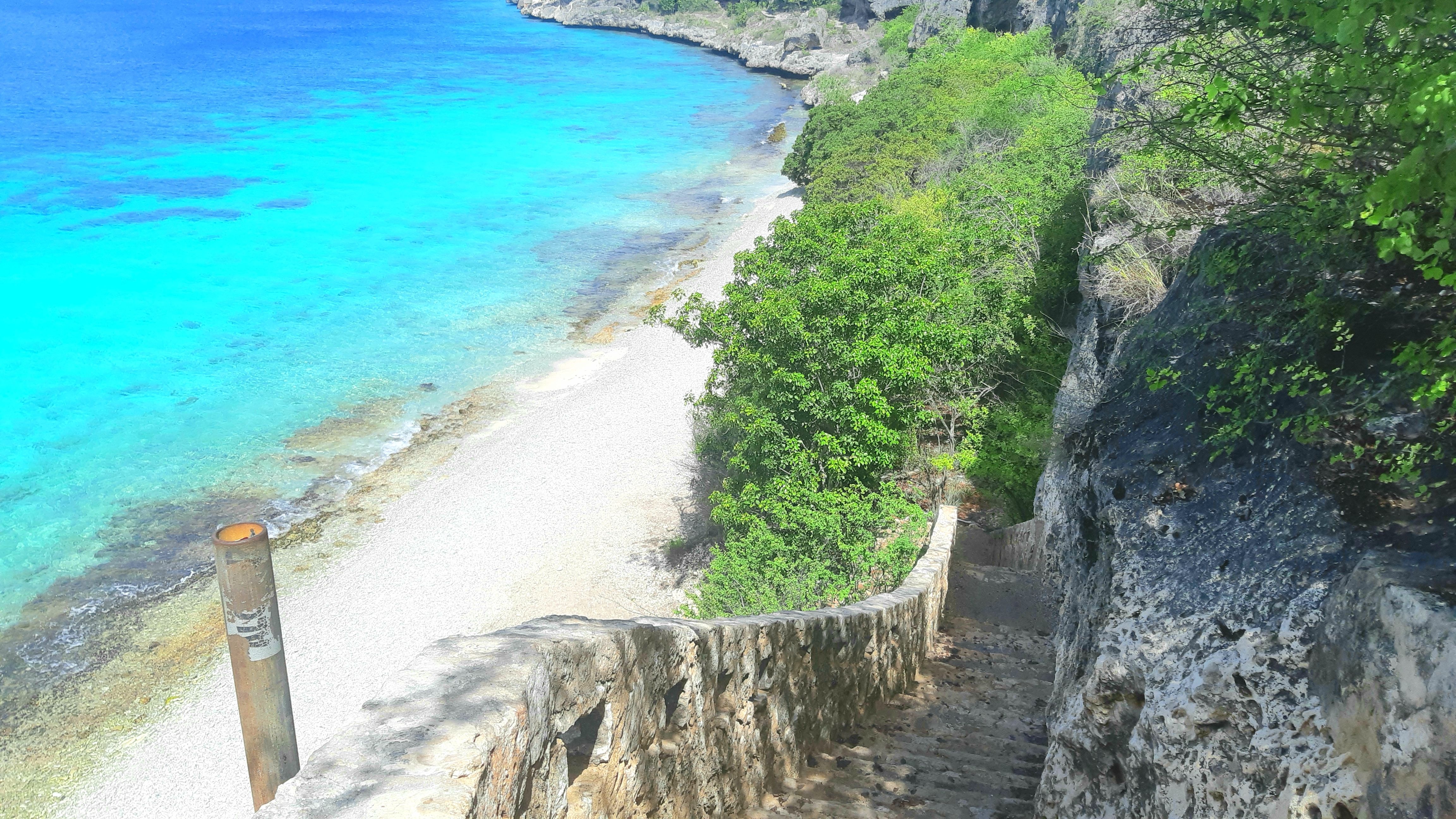 1000 Steps why Bonaire is a diver's paradise