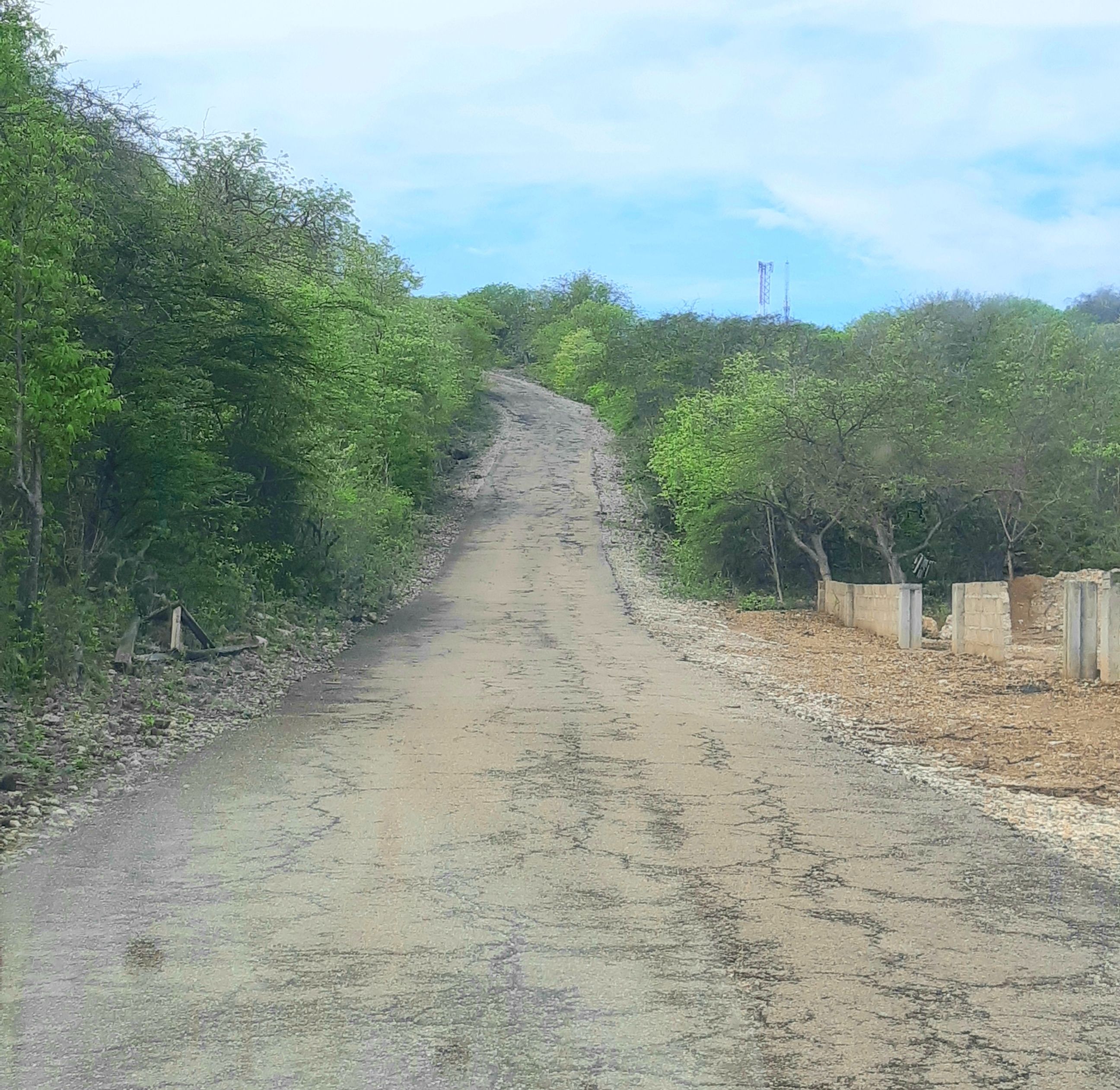 driving in Bonaire