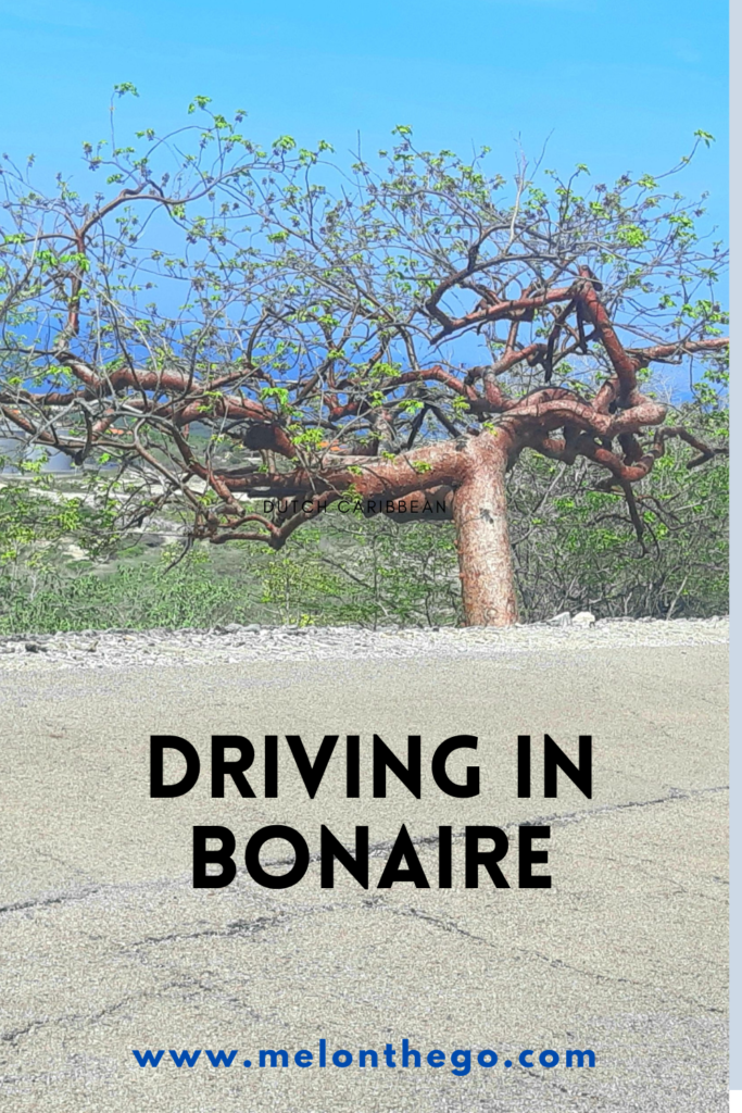 Driving in Bonaire pin 2