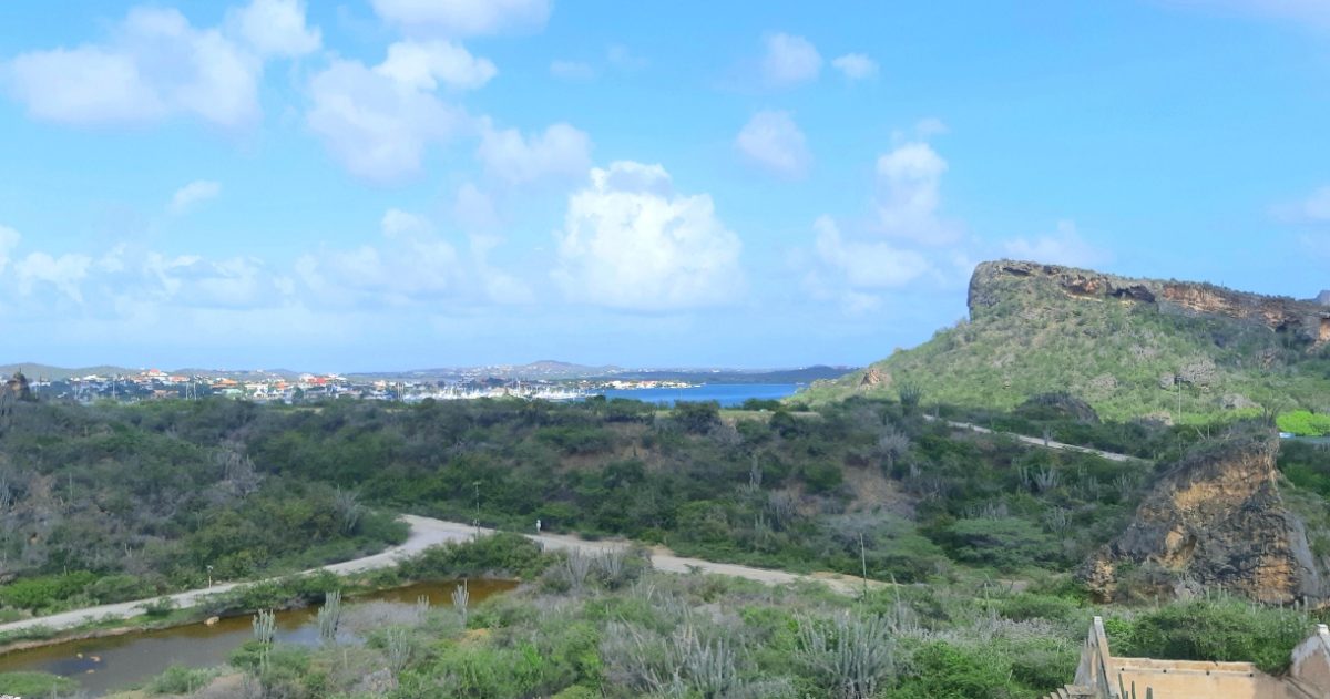 hiking path near ocean