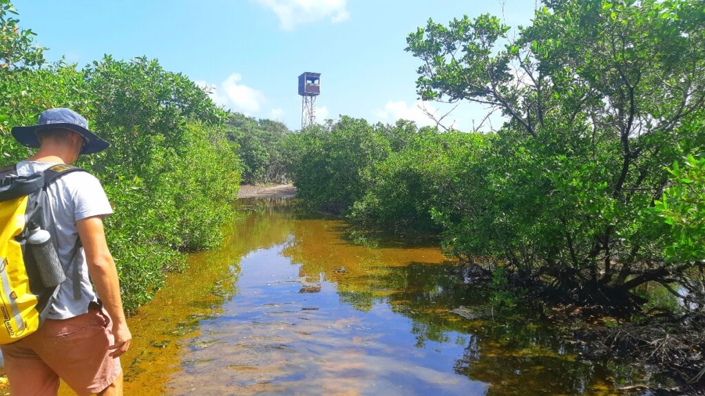 Muddy flooded trail in Curacao