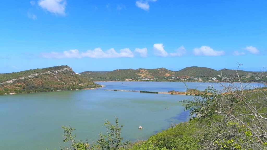 View of salt pans and flamingos