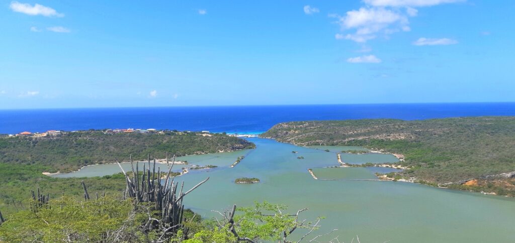 Salt pan and ocean