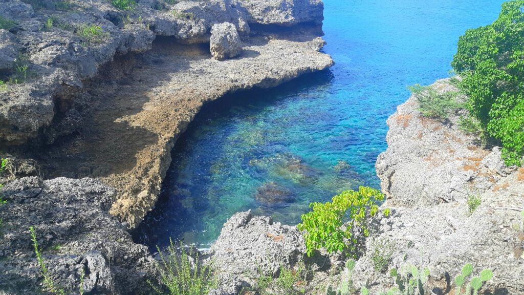 snorkel Caribbean sea