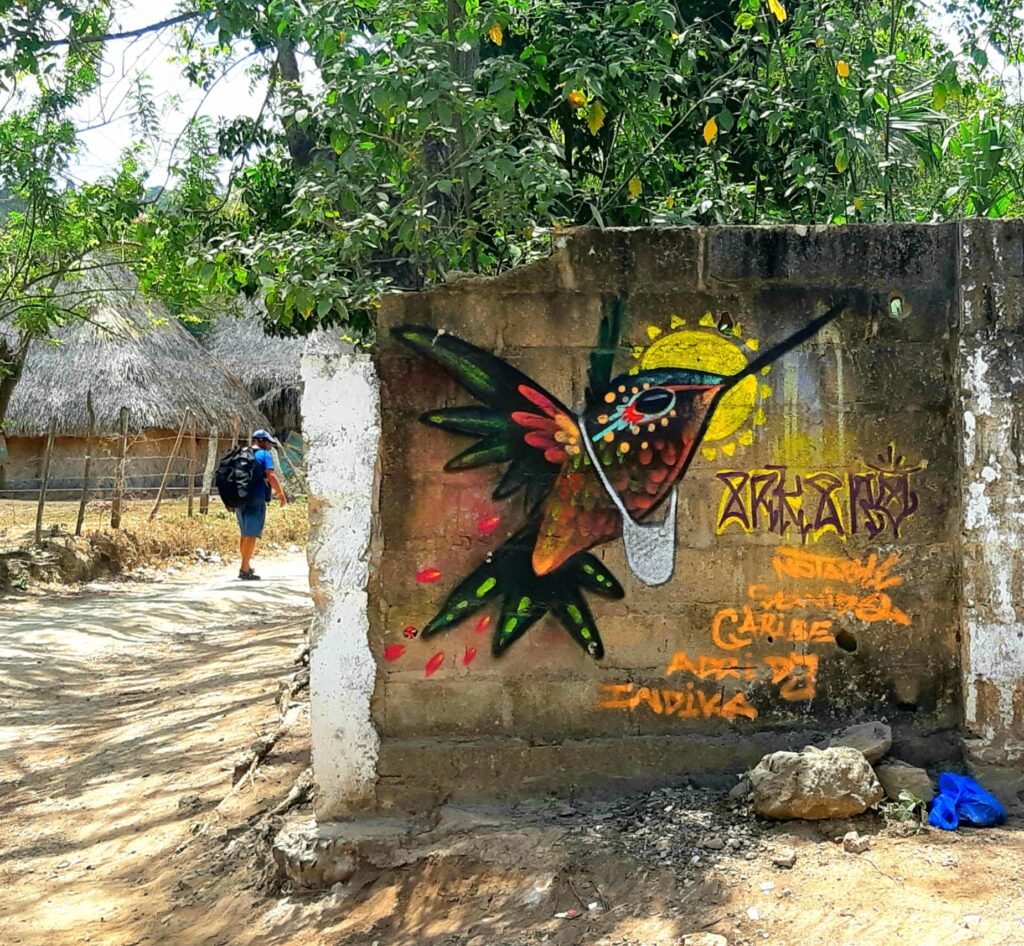 bird mural Palomino Colombia