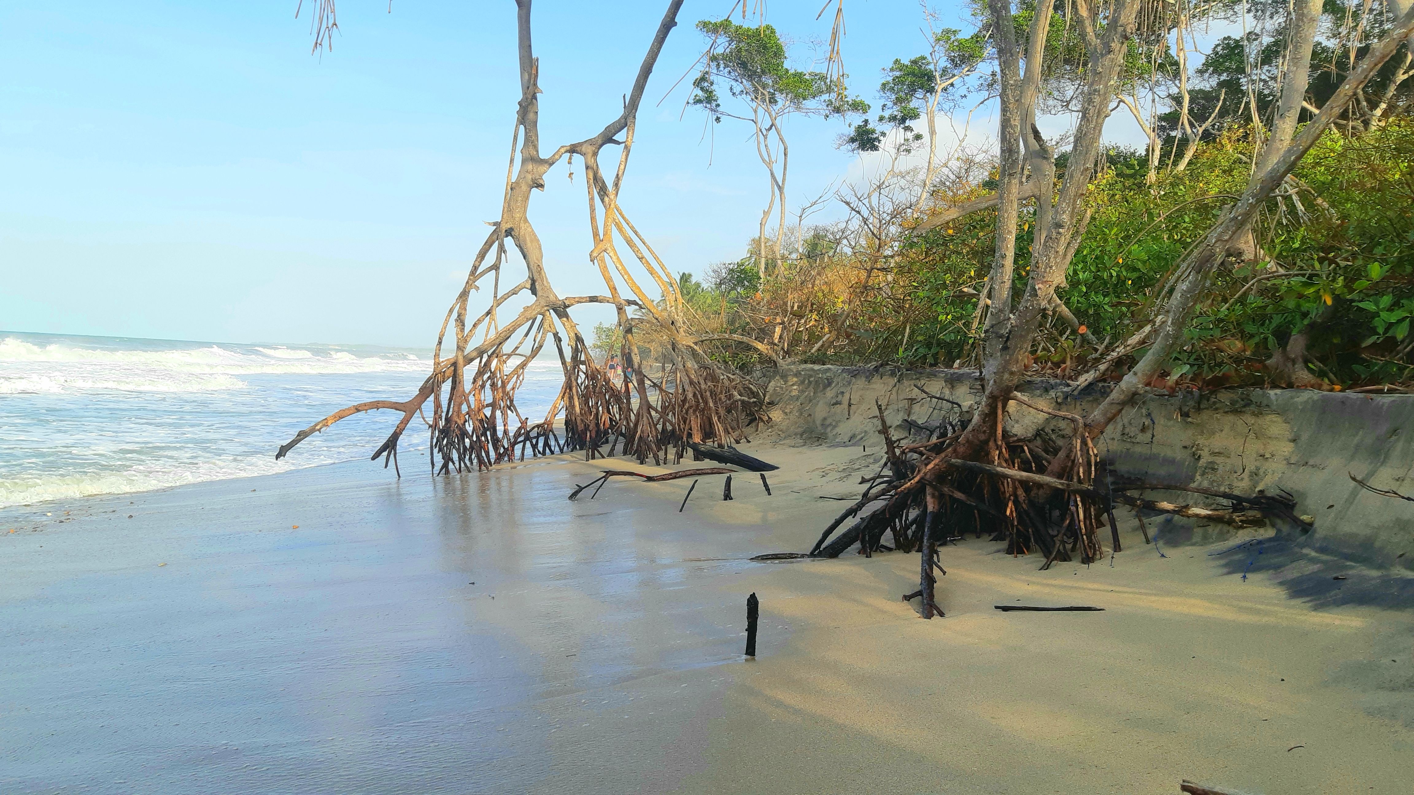 beach hike Palomino