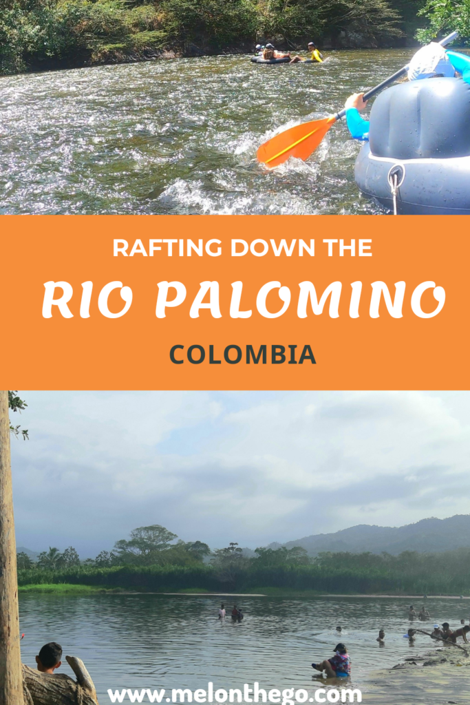 Rafting Down the Rio Palomino Pin