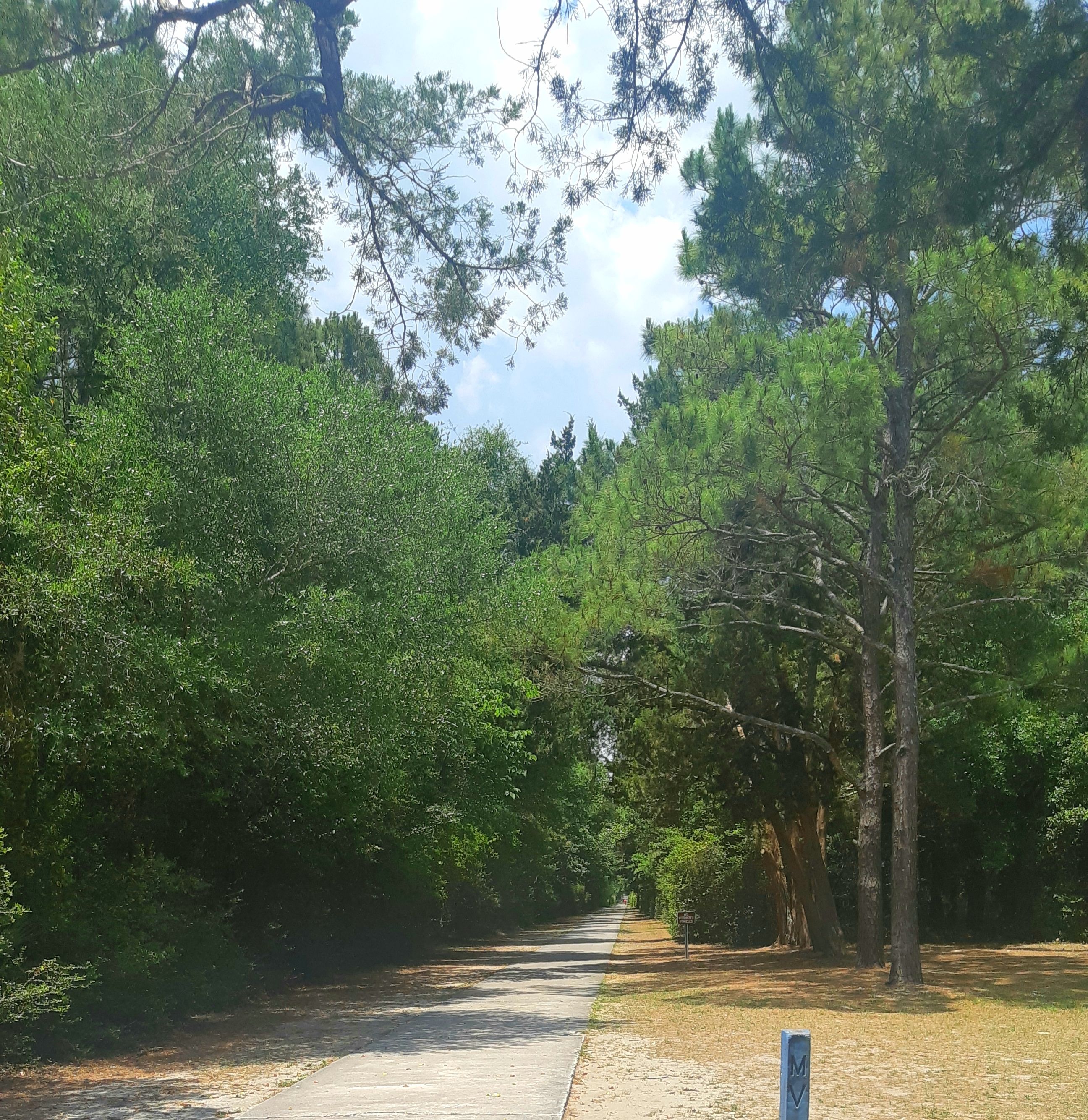 biking trail things to do in Pawleys Island SC