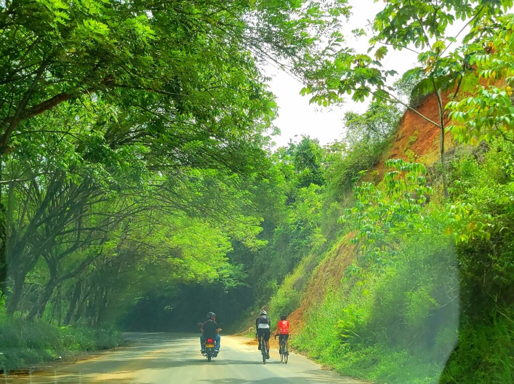 Cyclists near Salento Colombia