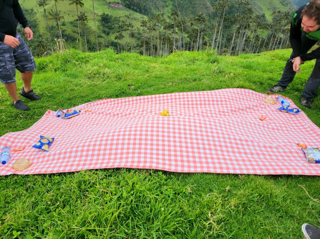 Picnic Cocora Valley