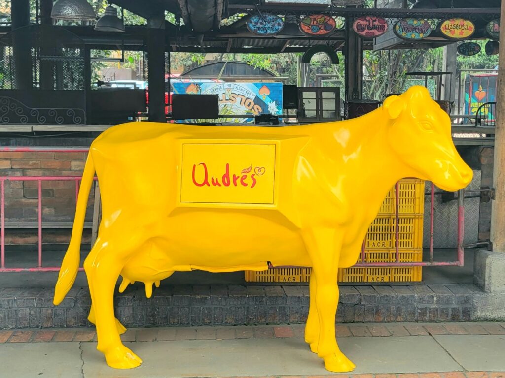 Andres cow one of the best things to do in Bogota