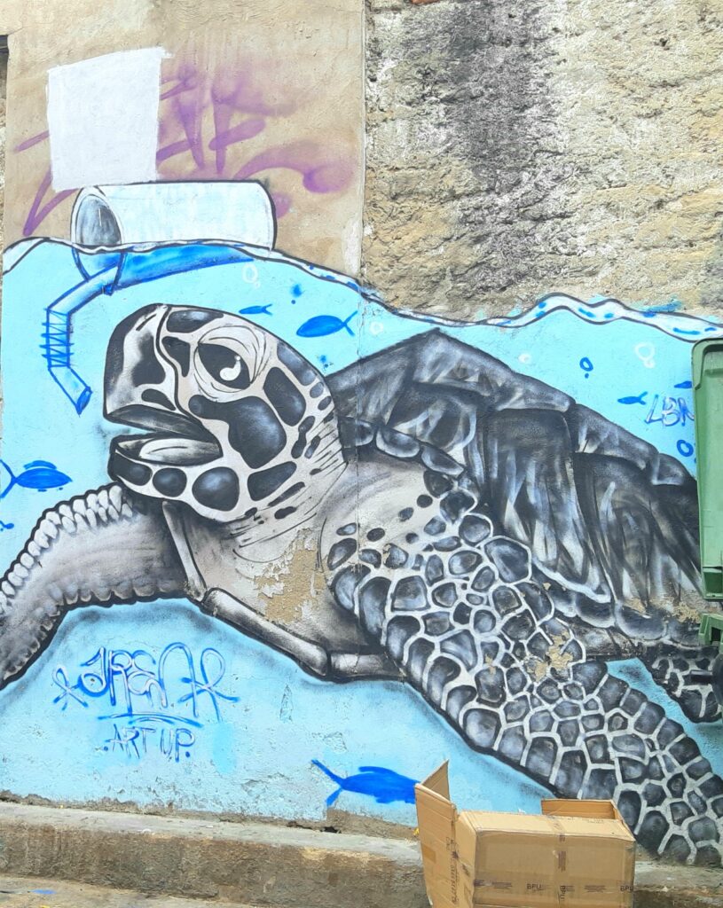 Turtle mural in Getsemani