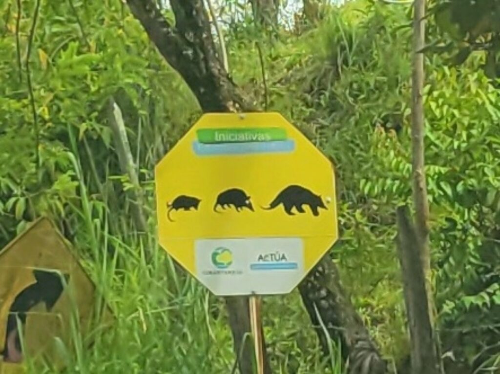 animal crossing sign Colombia