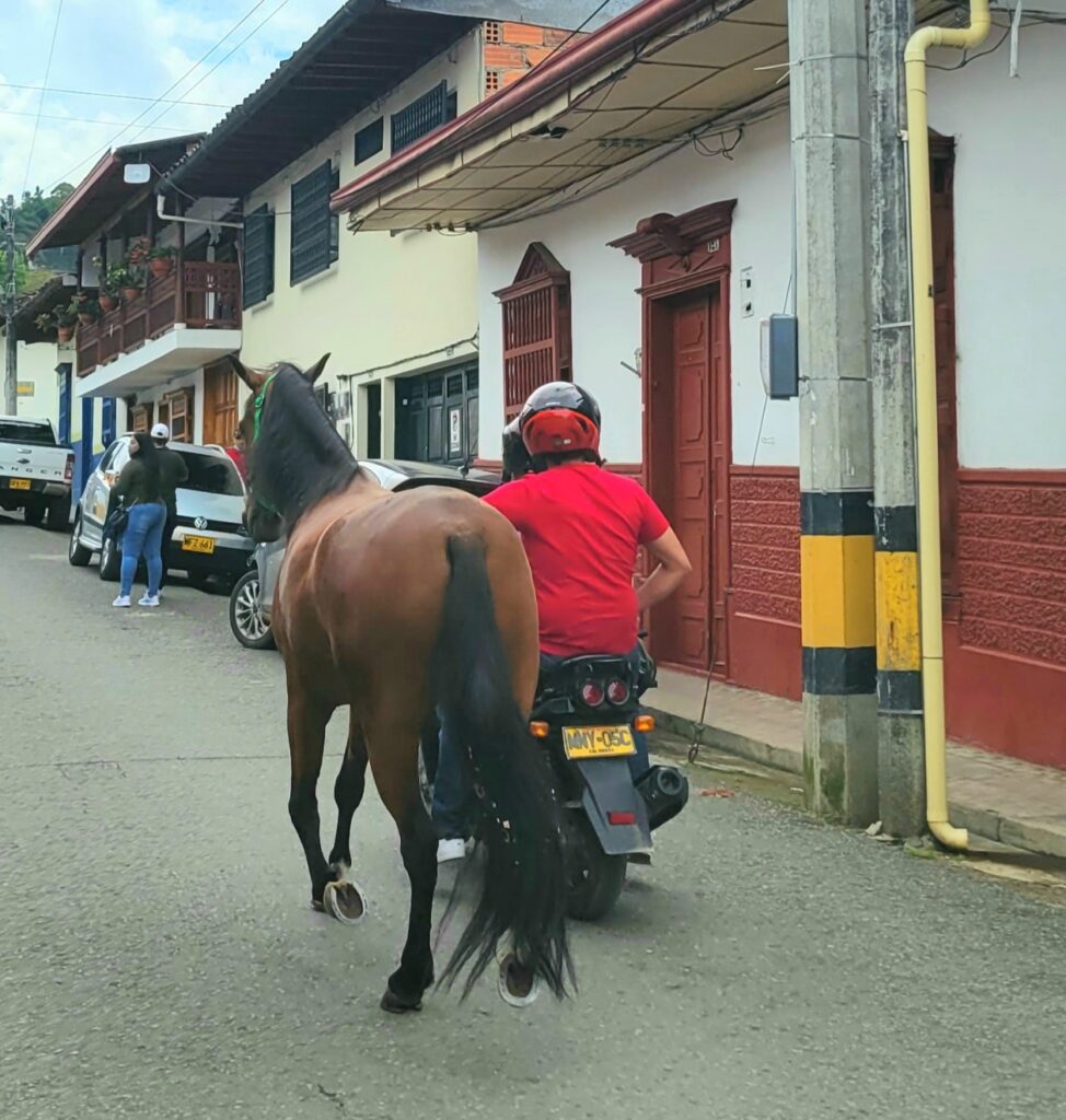 horse Jardin