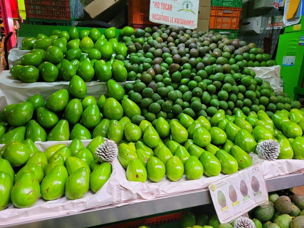 Avocados at Paloquemao