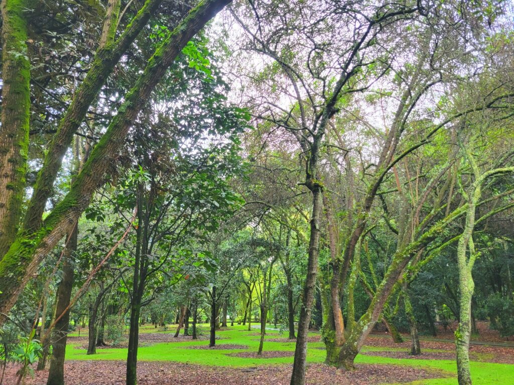 Bogota Botanical gardens