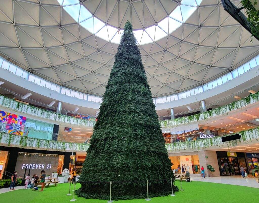 Christmas tree Panama City