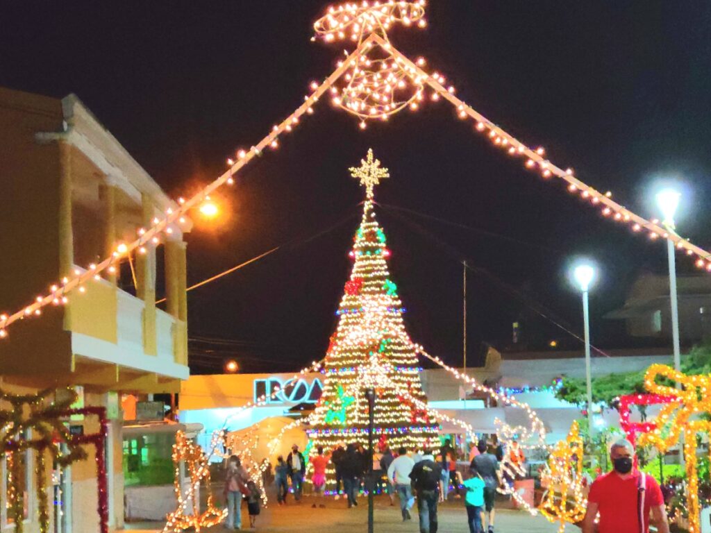 Christmas tree Boquete Panama