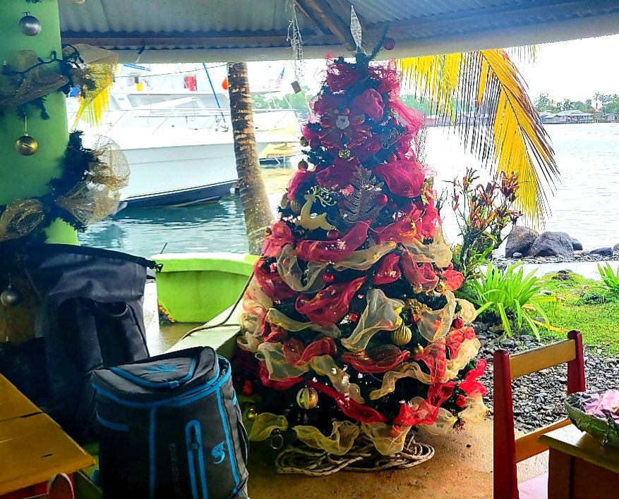 Christmas Tree Panama Style