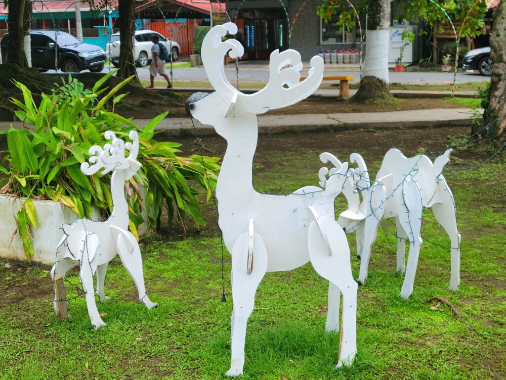 Reindeer decorations Bocas del Toro