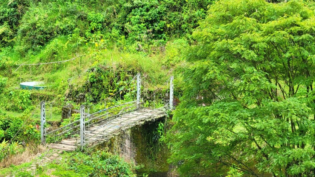 Jardin hike bridge