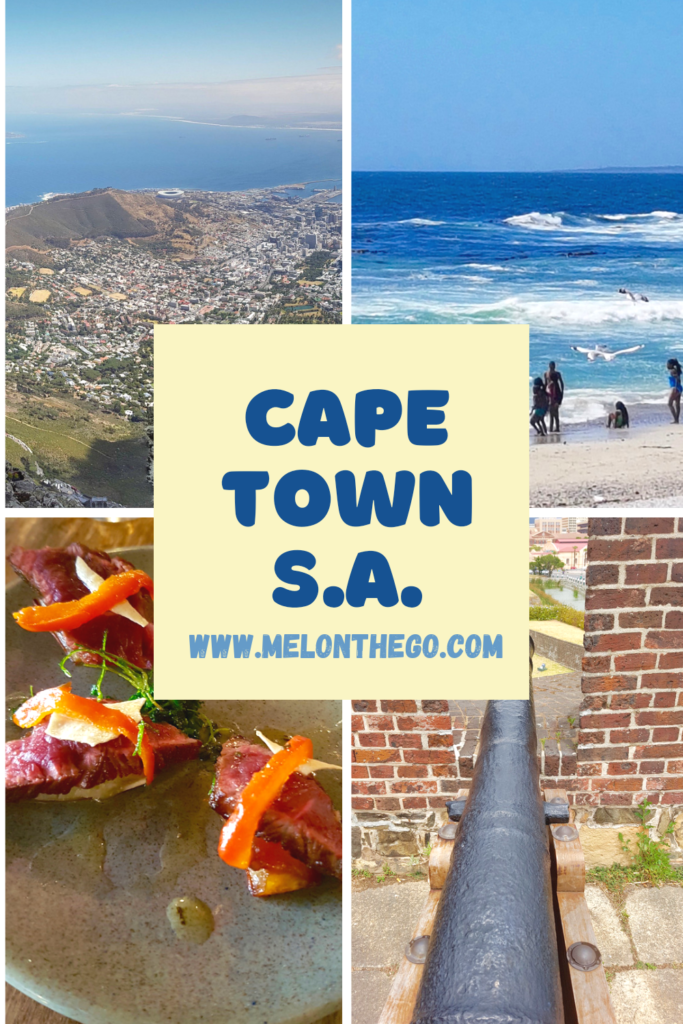 Cape Town Attractions Pin