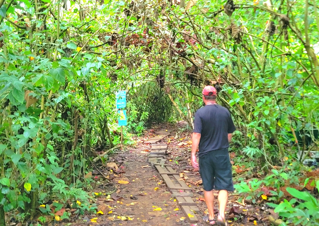 Walking to Up in the Hill Farm