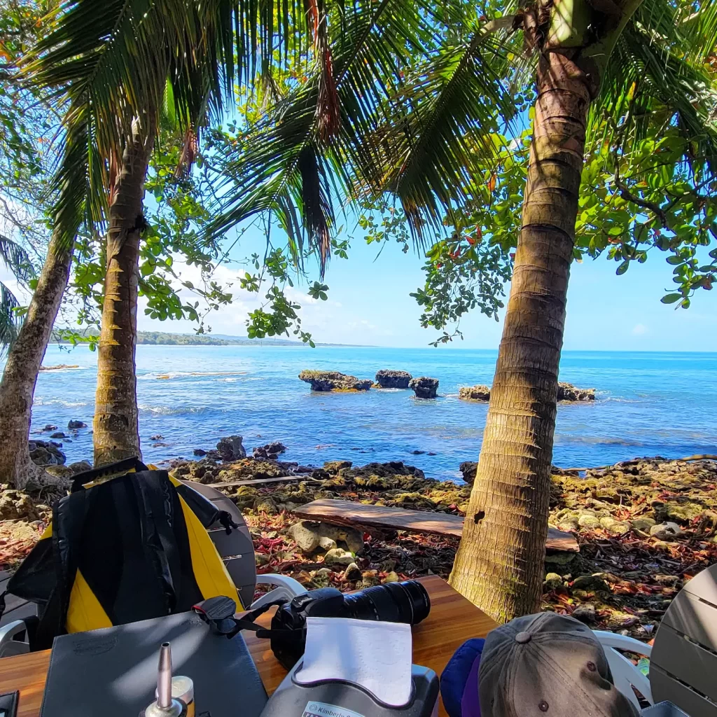 Beachfront view Cahuita Pizzeria Costa Rica