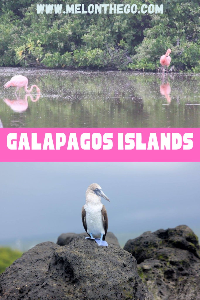 Pin Galapagos Islands