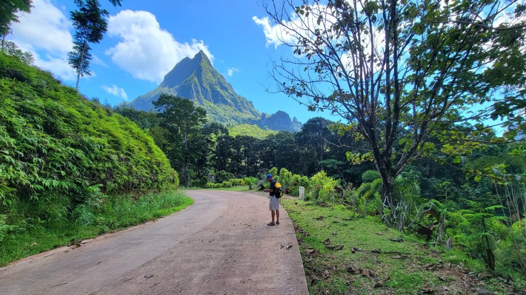 Hiking in Moorea, Mount Belevedere