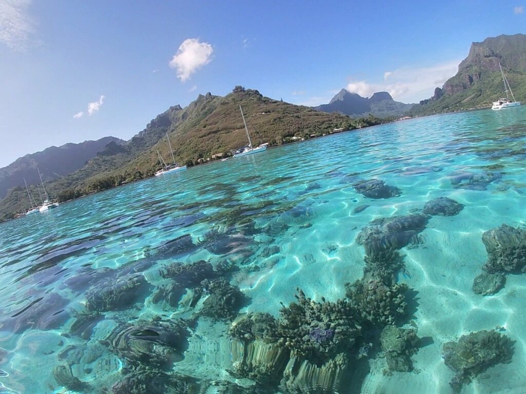 The water in Moorea